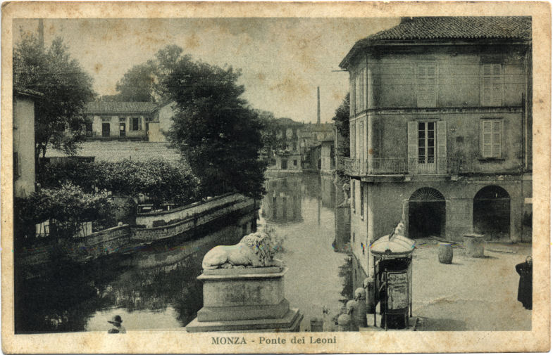 Il leone e il cesso