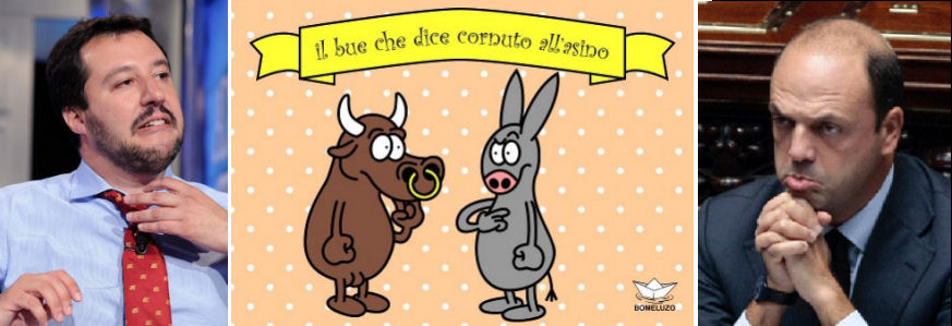 il bue e l'asino